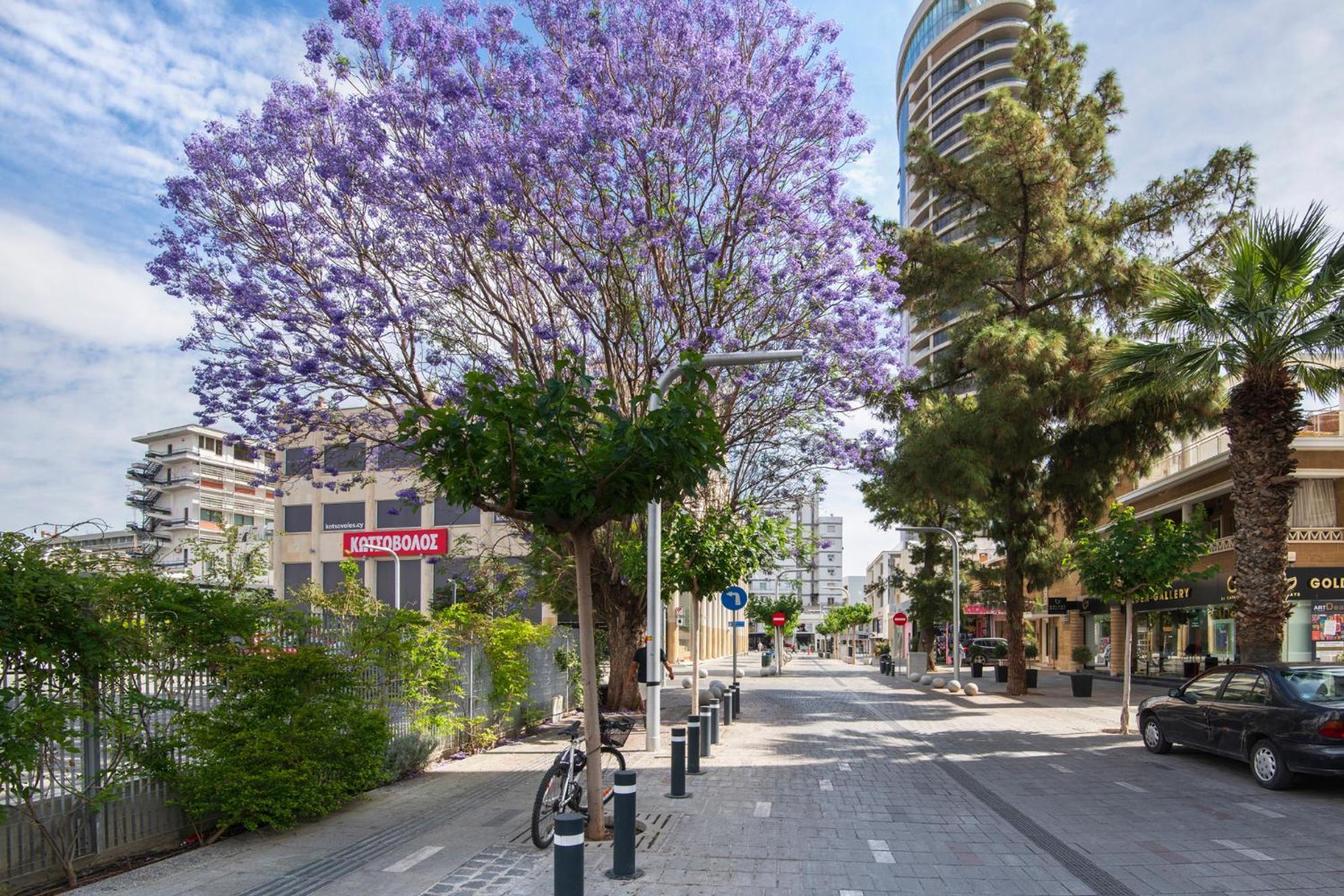 Urban Habitat Capsule Beds Nicosia